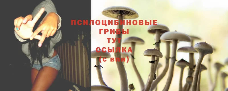 Галлюциногенные грибы Magic Shrooms  где можно купить   нарко площадка какой сайт  Белоярский 